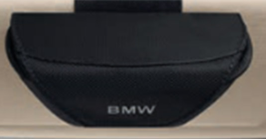 Sunglass Case