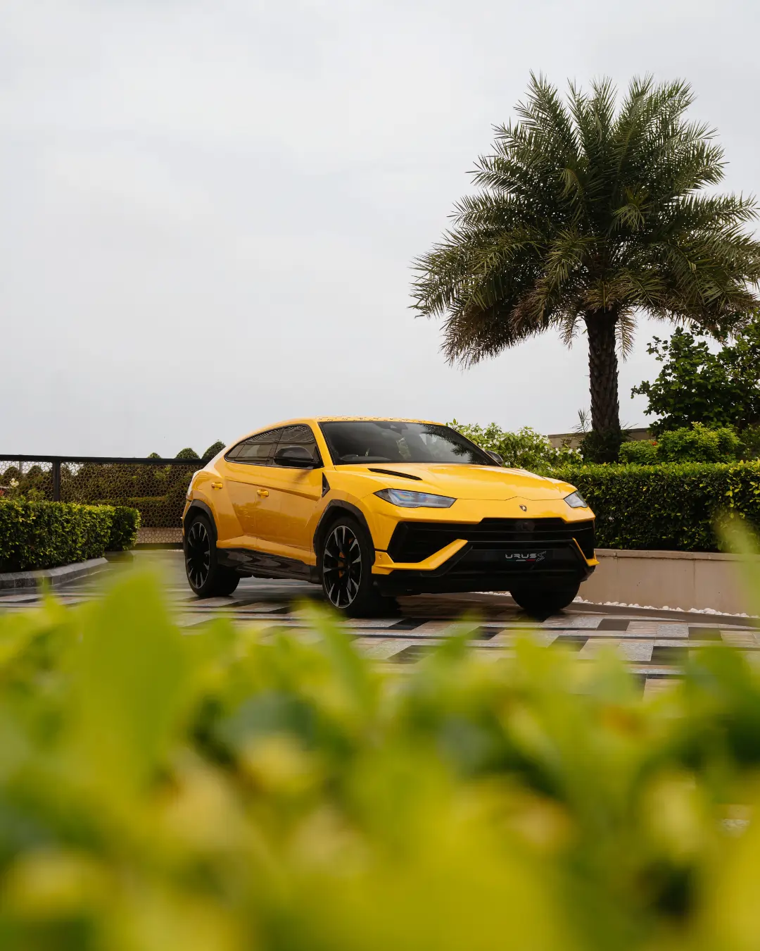 Lamborghini Urus - Lamborghini Mumbai