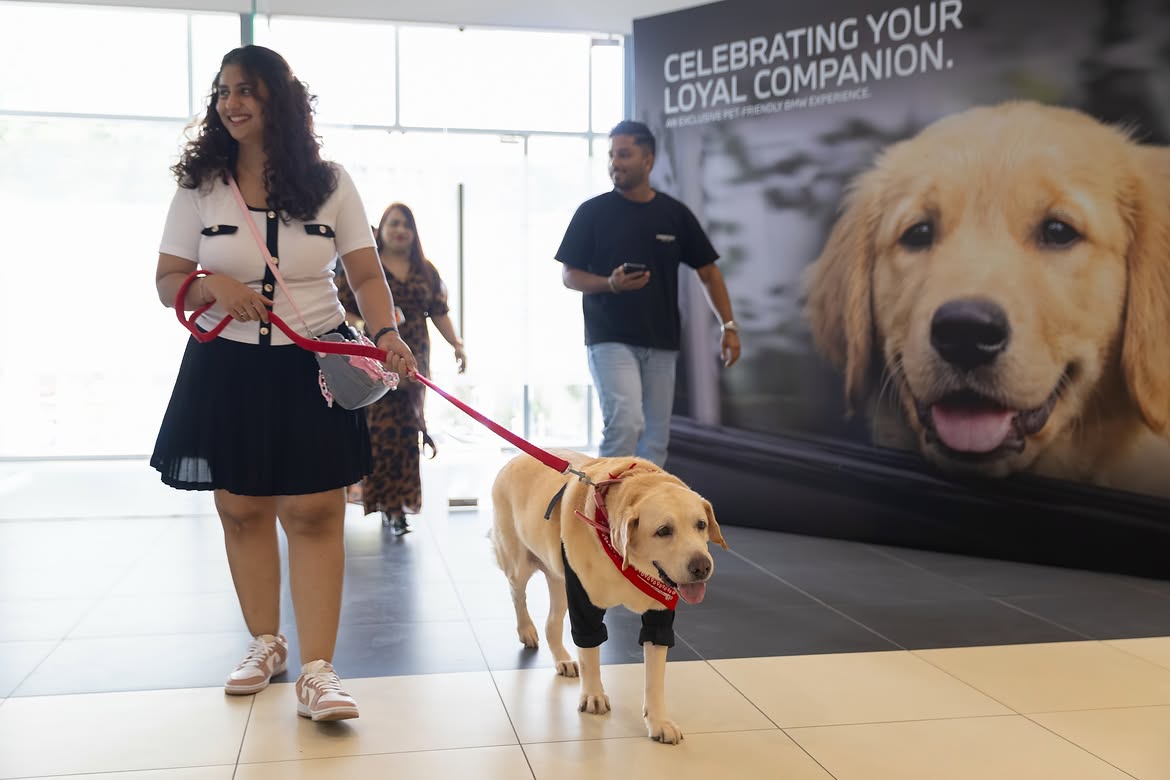 International Dog Day Celebration Event - BMW Infinity Cars