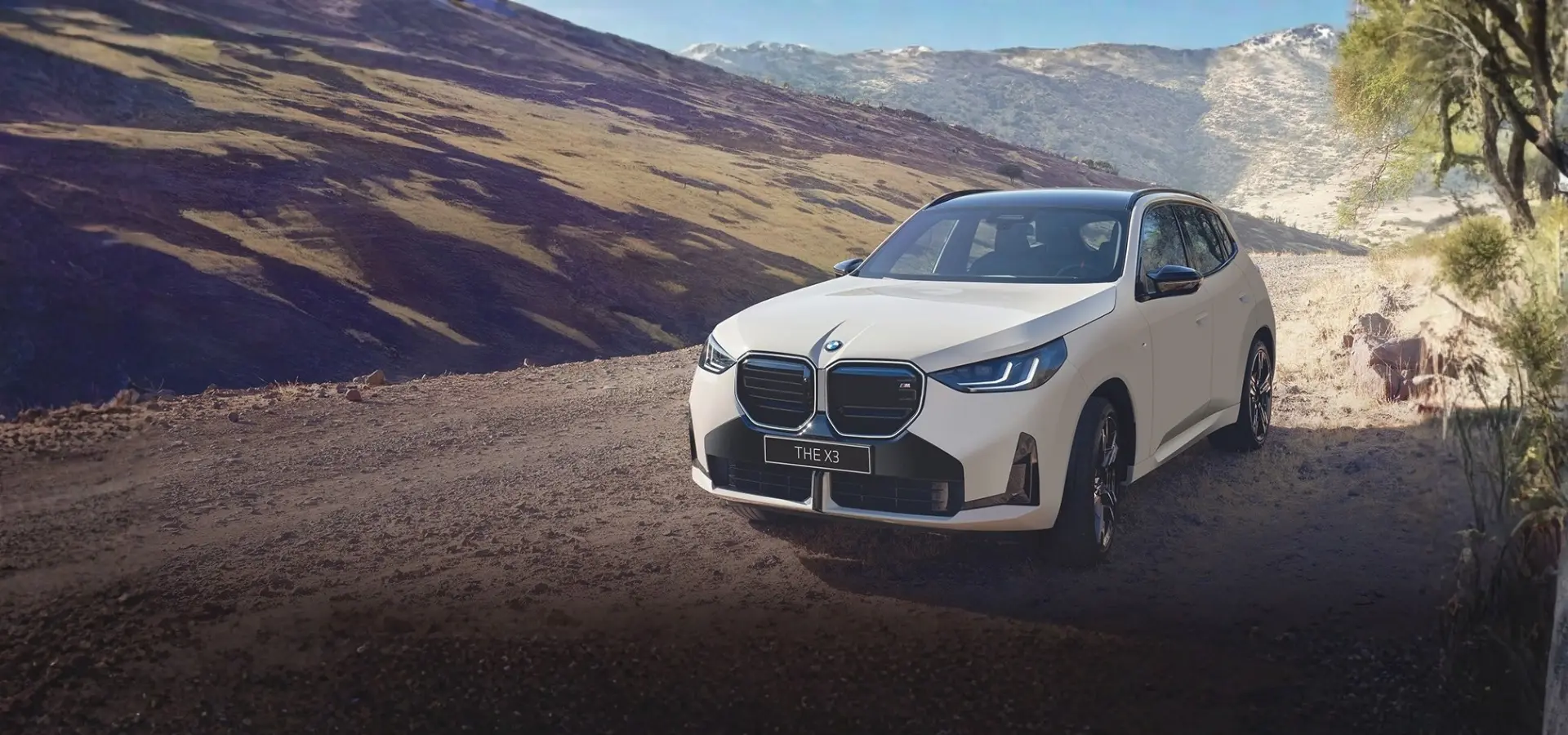 New BMW X3