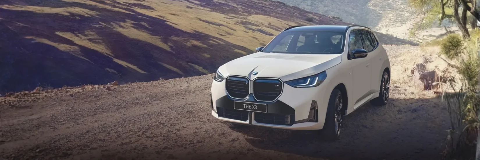 New BMW X3