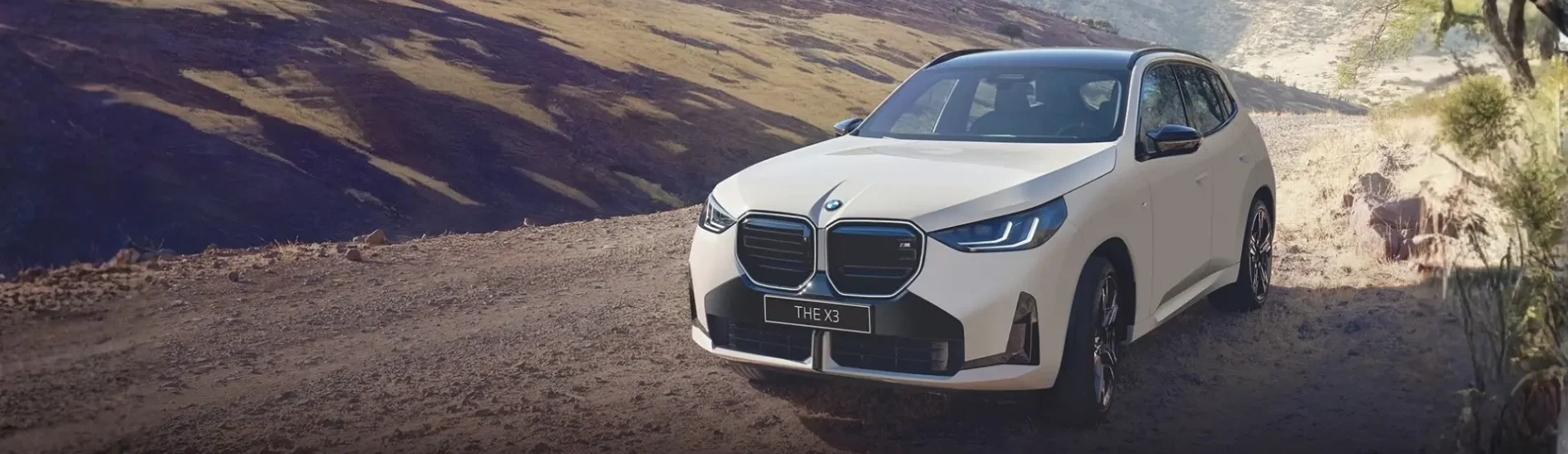 New BMW X3